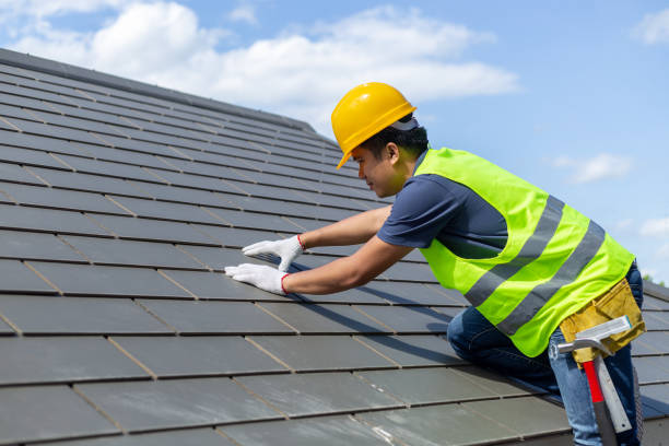 Best Gutter Installation and Roofing  in Winfield, TN