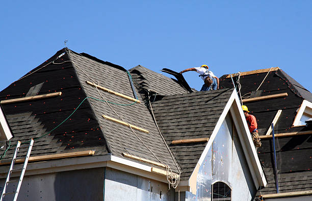 Best Roof Repair Services  in Winfield, TN
