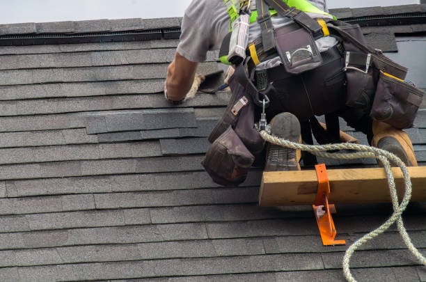 Best Roof Gutter Cleaning  in Winfield, TN