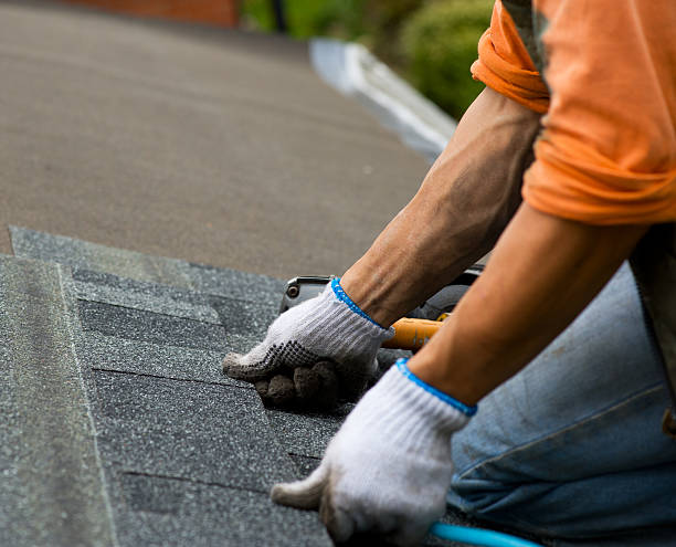 Best Roof Repair Services  in Winfield, TN