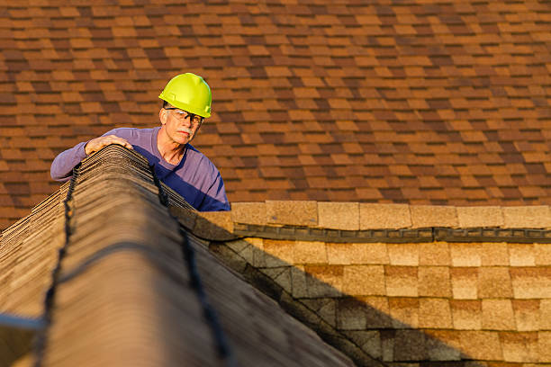 Best Storm Damage Roof Repair  in Winfield, TN